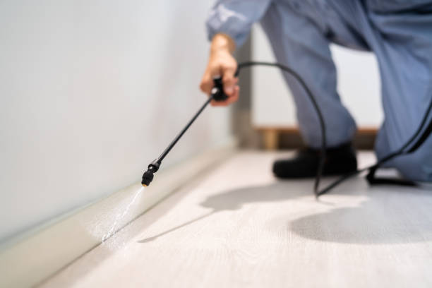 Licensed Fumigation Services service in Dudley, NC - Nex Pest Control