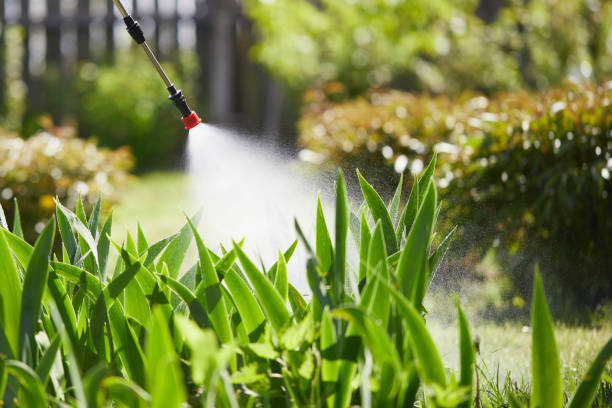 24/7 Emergency Fumigation Services experts in Dudley, NC