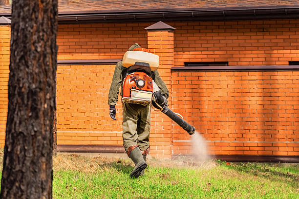 Top rated local Fumigation Services specialists in Dudley, NC